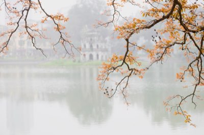 土地開發與奢華服務：如何實現雙重資產價值最大化完整指南