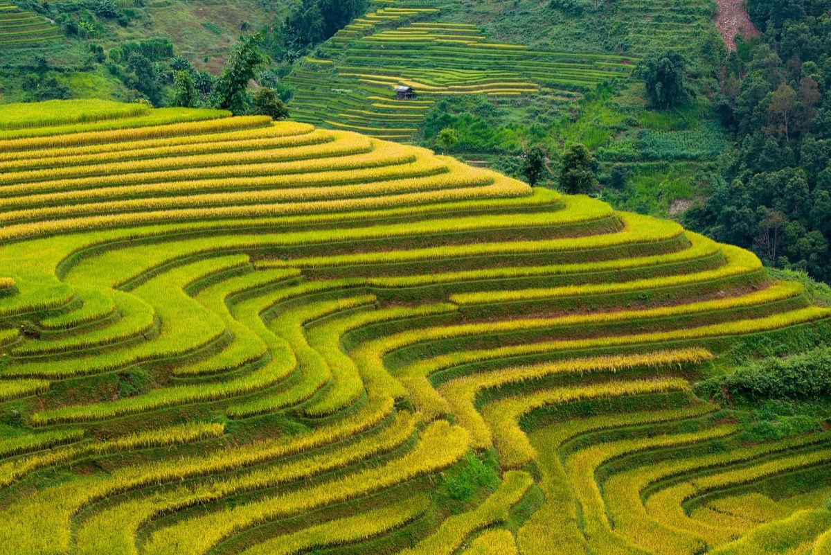 Luxury villa overlooking the Tegalalang rice terraces in Ubud