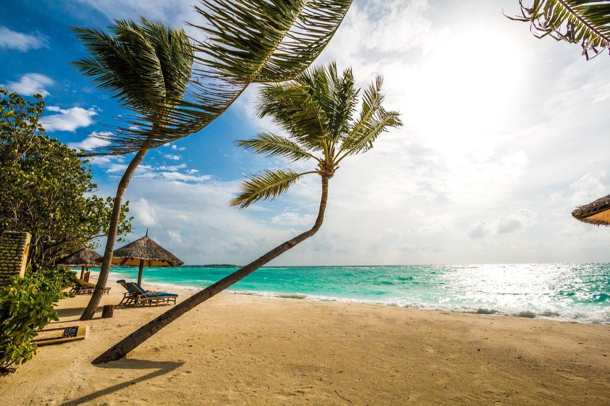 Watervliegtuig die aankomt bij een luxe resort in de Malediven